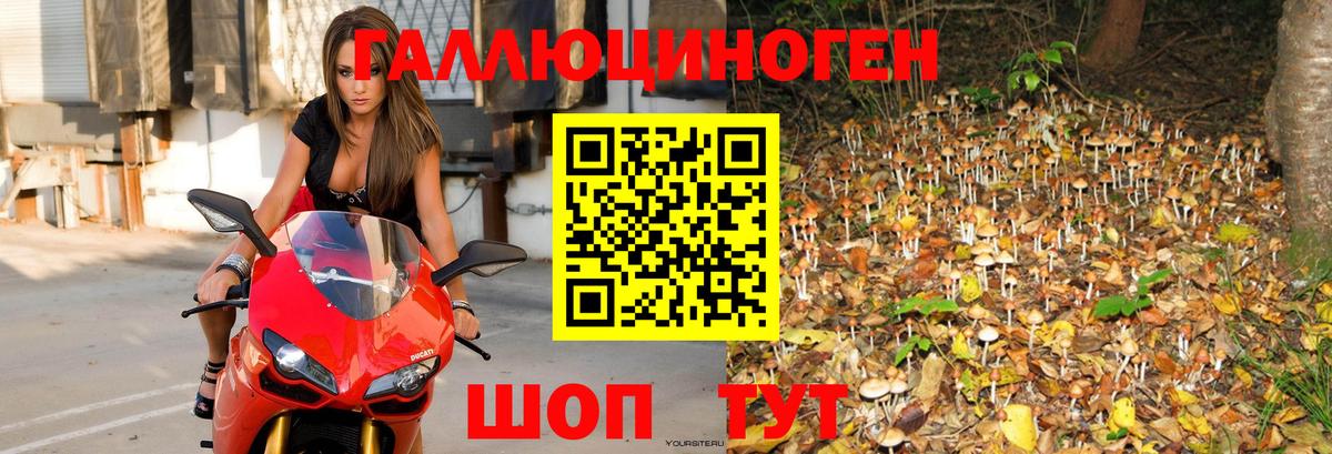 Галлюциногенные грибы мухоморы Муравленко