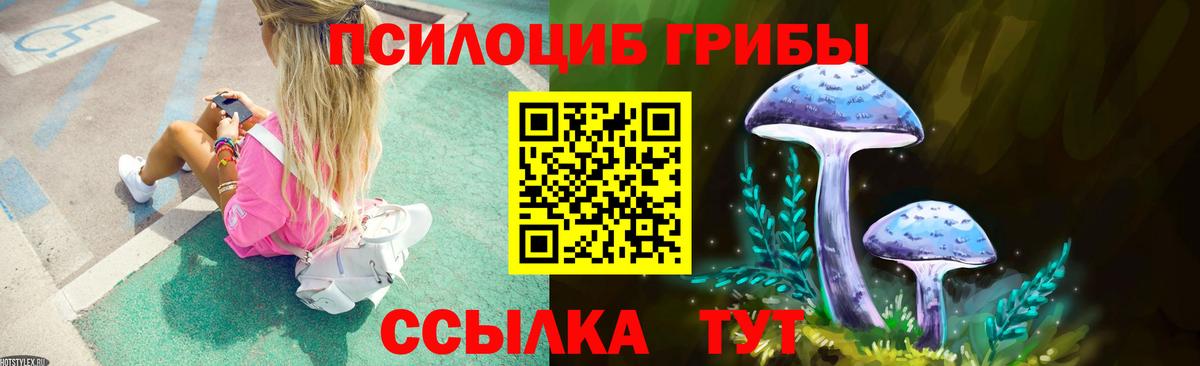 Псилоцибиновые грибы MAGIC MUSHROOMS  Вход с VPN  Муравленко 